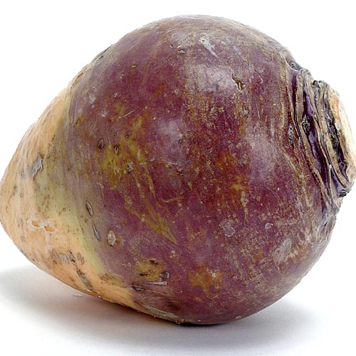 Velikost plodu ve 27.týdnu těhotenství