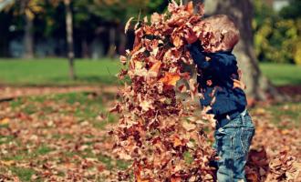 24 podzimních tipů na hry pro děti