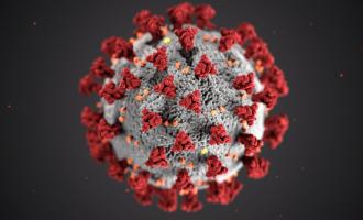 4 nejčastější otázky matek a těhotných žen na téma koronavirus
