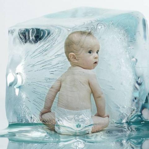 Social freezing-tehotenstvi.cz