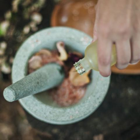 Bylinky a léky v těhotenství - tehotenstvi.cz