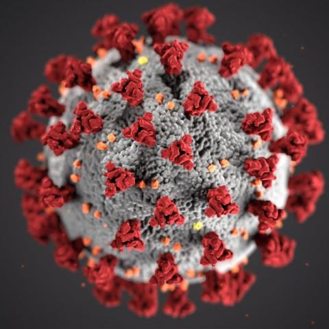 4 nejčastější otázky matek a těhotných žen na téma koronavirus